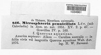 Image Associated With the Occurence
